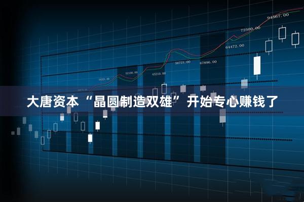 大唐资本 “晶圆制造双雄” 开始专心赚钱了