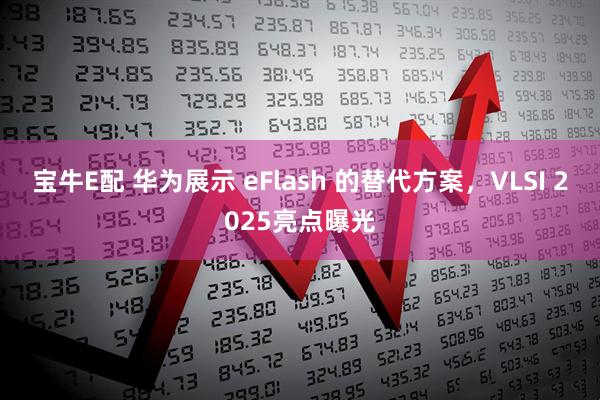 宝牛E配 华为展示 eFlash 的替代方案，VLSI 2025亮点曝光