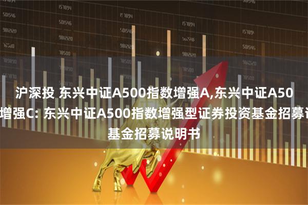 沪深投 东兴中证A500指数增强A,东兴中证A500指数增强C: 东兴中证A500指数增强型证券投资基金招募说明书