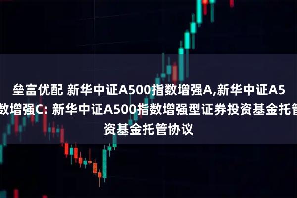 垒富优配 新华中证A500指数增强A,新华中证A500指数增强C: 新华中证A500指数增强型证券投资基金托管协议