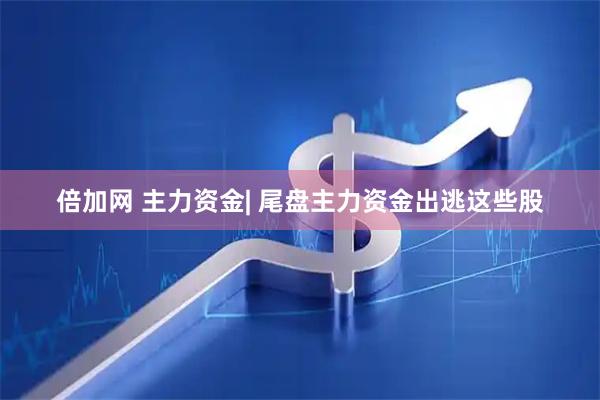 倍加网 主力资金| 尾盘主力资金出逃这些股