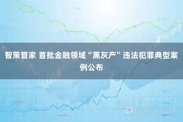 智策管家 首批金融领域“黑灰产”违法犯罪典型案例公布