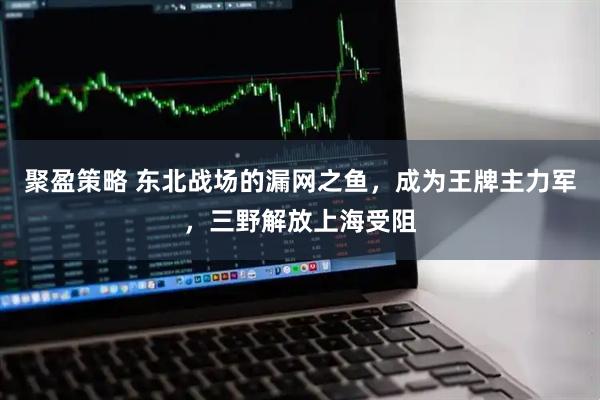 聚盈策略 东北战场的漏网之鱼，成为王牌主力军，三野解放上海受阻