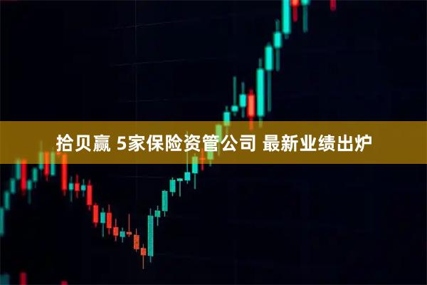 拾贝赢 5家保险资管公司 最新业绩出炉