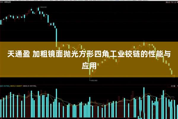 天通盈 加粗镜面抛光方形四角工业铰链的性能与应用