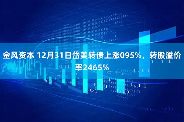 金风资本 12月31日岱美转债上涨095%，转股溢价率2465%