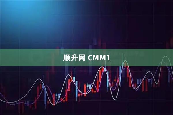 顺升网 CMM1