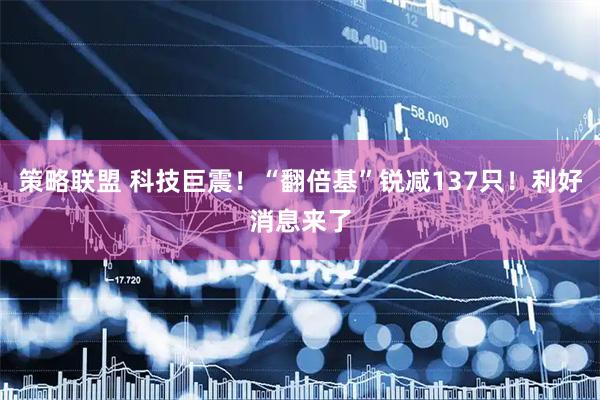 策略联盟 科技巨震！“翻倍基”锐减137只！利好消息来了